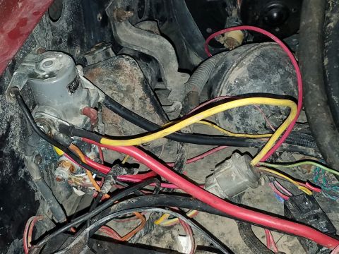 1985 Ford Bronco - Close-up view of a complex engine bay wiring harness, showing various colored wires and connectors.
