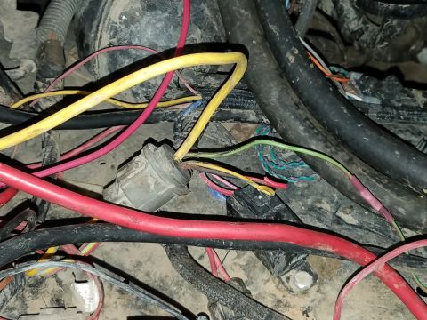 1985 Ford Bronco - A complex network of wires and connectors is visible in this close-up shot of a vehicle's electrical system.