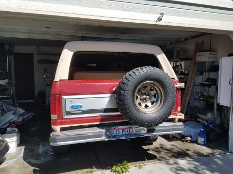 1985 Ford Bronco - Rear view of a 1985 Ford Bronco, showing its spare tire and license plate.