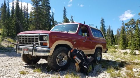 1985 Ford Bronco - This 1985 Ford Bronco is ready for an adventure, parked on a dirt road surrounded by trees.