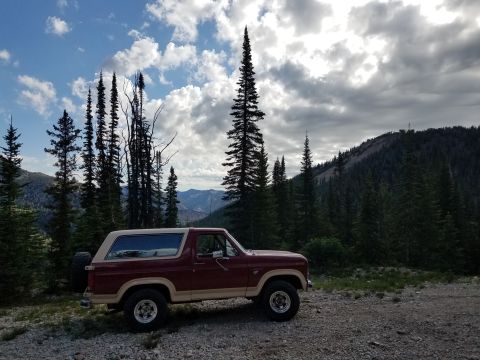 1985 Ford Bronco - This 1985 Ford Bronco is parked on a gravel road, surrounded by tall pine trees and mountains under a cloudy sky.
