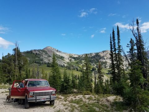 1985 Ford Bronco - A red pickup truck is parked on a dirt road, with a scenic mountain range and pine trees under a clear blue sky.