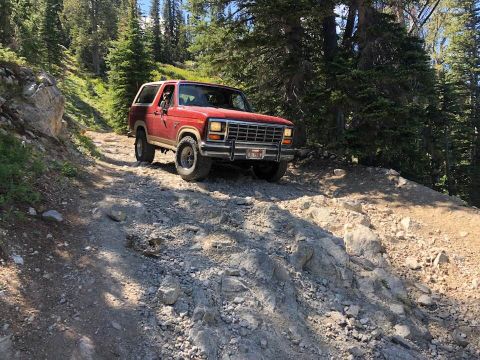 1985 Ford Bronco - A red 1980s Ford Bronco is driving up a rocky, unpaved mountain trail surrounded by pine trees.