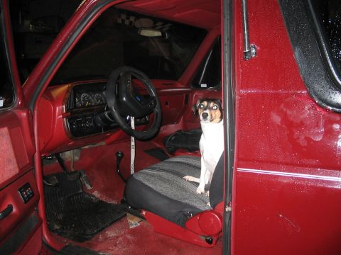 1989 Ford Bronco - Emma, my copilot (Rat Terrier 2yearold)