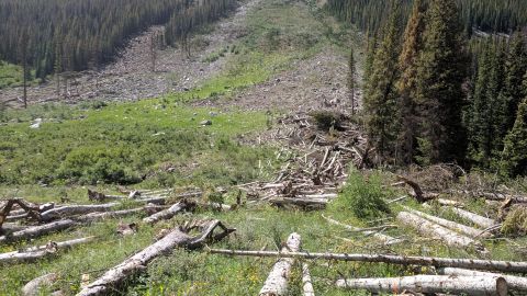 1995 Ford Bronco - A landscape view of a mountainside cleared of trees, littered with fallen logs and debris.