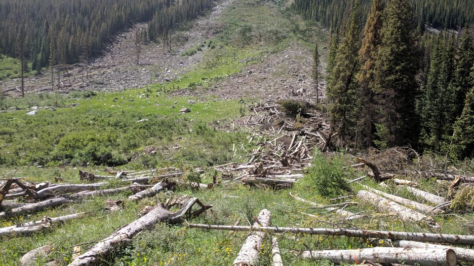 Deforested mountainside with fallen logs and debris