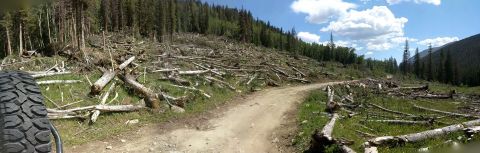 1995 Ford Bronco - Trail winds through a heavily logged mountain area under a partly cloudy sky.