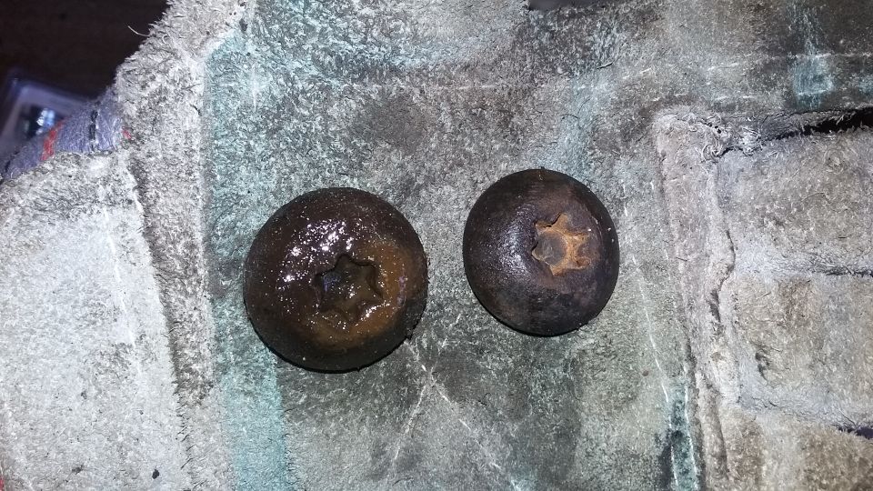 Two rusty bolts with star-shaped drive on textured surface