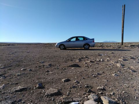 2005 Ford Focus “The Frisky Ford”