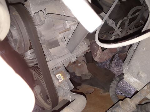 1999 Ford E250 - Engine bay detail showing serpentine belt, pulleys, and exhaust manifold.