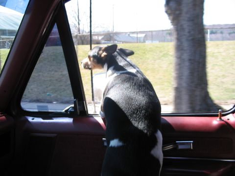 1989 Ford Bronco - Co-Pilot checking for enemy Zero's (small Japanese fighters/econo cars)