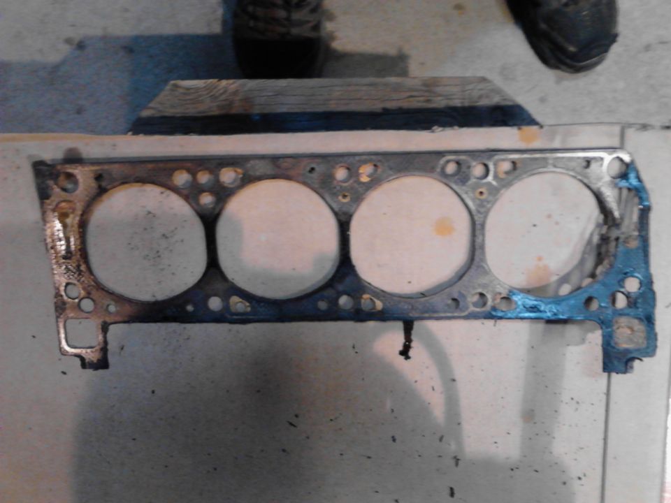 Engine gasket with four cylinder openings, showing wear and blue sealant