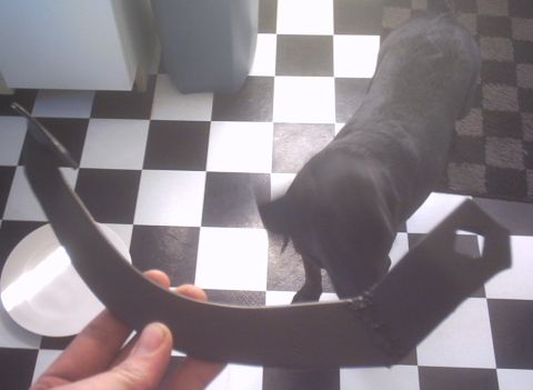 1991 Ford LTD Crown Victoria - A black dog stands on a checkered floor next to a hand holding a car part.