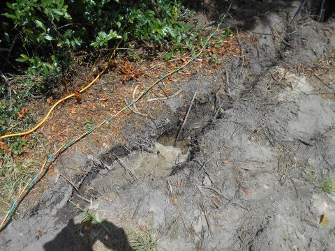 1992 Ford Bronco - A scene of disturbed ground with electrical wires running through vegetation and a small muddy depression.