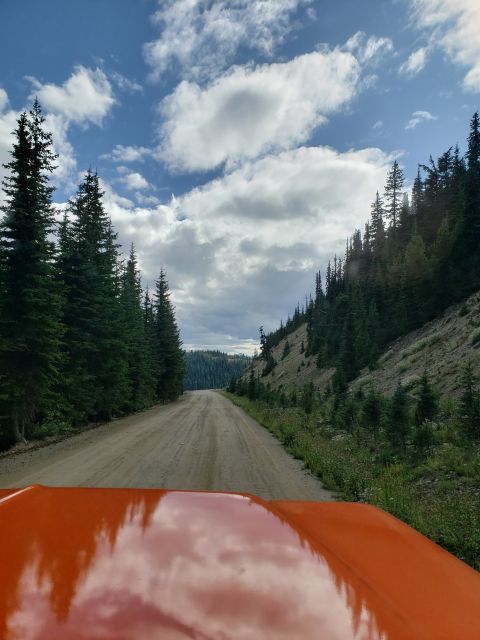 1978 Ford Bronco - Driving on a dirt road through a forest with an orange vehicle hood in the foreground.