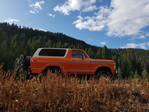 1978 Ford Bronco - This 1978 Ford Bronco is parked off-road, surrounded by dry grass and a forest.