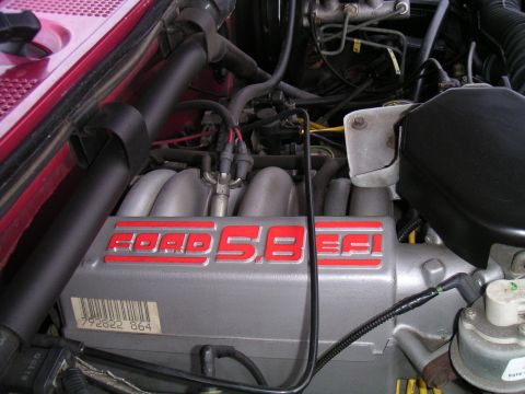 1994 Ford Bronco - The 5.8L, painted the raised lettering on it with engine paint good to 500 degrees, adds a great touch.
