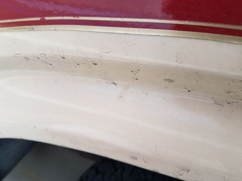 1985 Ford Bronco - A close-up view shows the peeling paint on the lower body panel of a vehicle, with a red and gold pinstripe visible above. The texture of t…