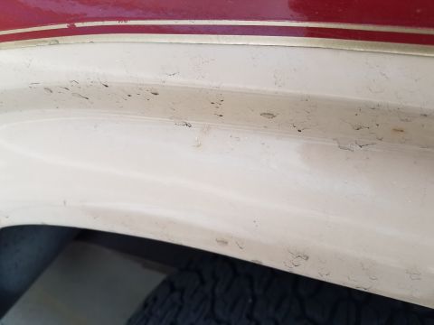 1985 Ford Bronco - A close-up view of the lower body panel of a vehicle, showing peeling paint and some surface imperfections. A portion of a red and gold pin…