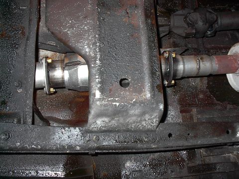1986 Ford Bronco - Keepin' it legal 3" cat w/header flanges