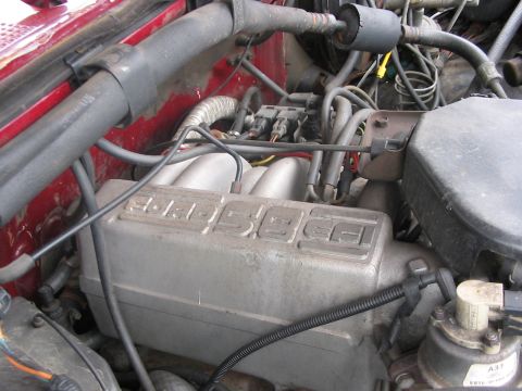 1989 Ford Bronco - PRETTY LETTERS (and numbers!)
