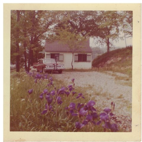 1996 Ford Bronco - A red vintage car is parked in front of a small white house, with a gravel driveway and a line of purple irises in the foreground. Tall tre…