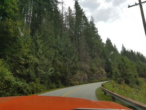 1978 Ford Bronco - The orange hood of a vehicle is visible in the foreground, looking out at a winding road through a dense forest with tall evergreen trees.…