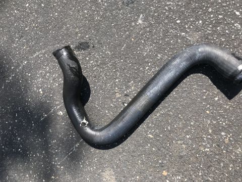 1994 Ford Bronco - A damaged black rubber hose lies on an asphalt surface. The hose has a split and appears to be a coolant hose.