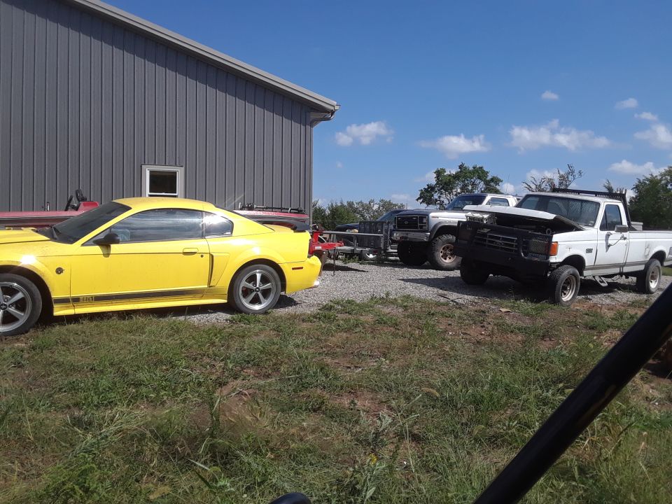 Yellow Ford Mustang parked next to a gray building with several Ford trucks in the background.