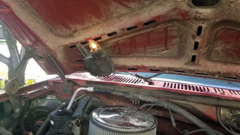 1985 Ford Bronco - Under the hood of a 1985 Ford Bronco, revealing the engine components and open hood.