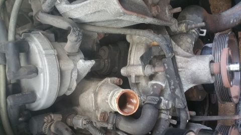 1996 Ford Bronco - This close-up image shows the engine bay of a 1996 Ford Bronco, focusing on the thermostat housing and distributor cap. The engine componen…