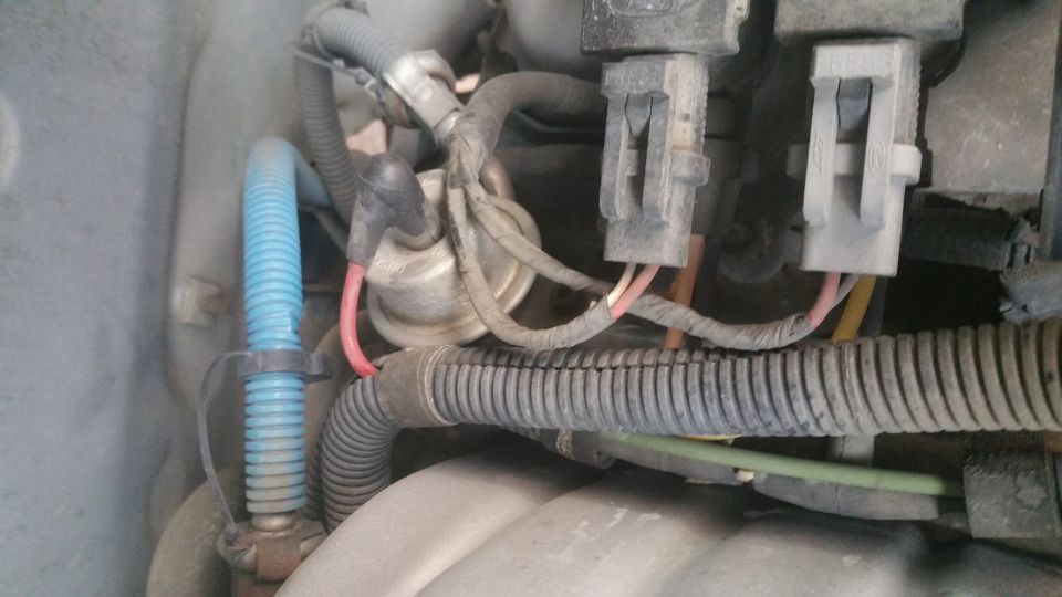 Engine bay close-up: electrical connectors, vacuum lines, corrugated hose.
