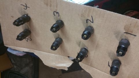 1996 Ford Bronco - Eight spark plugs are mounted on a piece of cardboard, each labeled with a number or letter. The spark plugs appear to be used and have som…