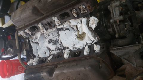 1996 Ford Bronco - This image shows the inside of an engine block with paper towels stuffed into the intake ports. There is some dark debris and a small amoun…