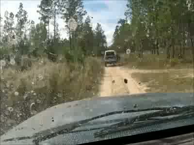 1996 Ford Bronco - Angelo caught a large tree limb on his truck