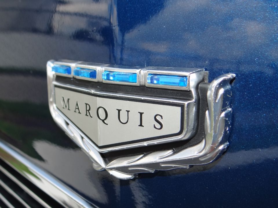 The hood emblem was a one year only.  It is unobtanium at this point.  The topaz jewels in it are what gives this car its nickname!  I found one shabby used one just in case as a backup.