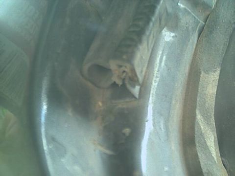1989 Ford Bronco - Extreme close-up of the cut end of a rubber weatherstrip seal running along a painted sheet-metal body channel, with the hollow bulb sectio…
