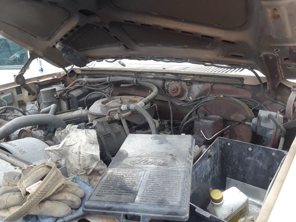 Engine bay of a Ford vehicle, showing engine components, hoses, and a Ford air cleaner housing.