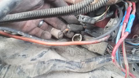 1985 Ford Bronco - A close-up view of a hand with a ring on its finger is holding frayed electrical wires and connectors in a vehicle's engine bay. The wires…