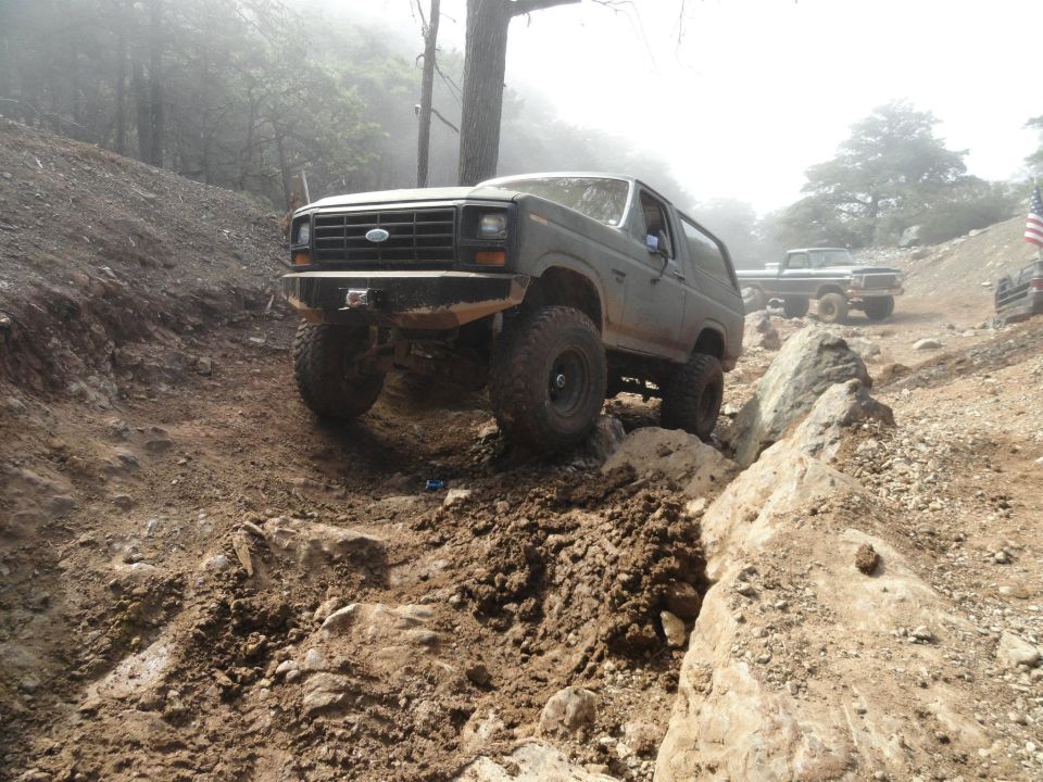 1986 Ford Bronco