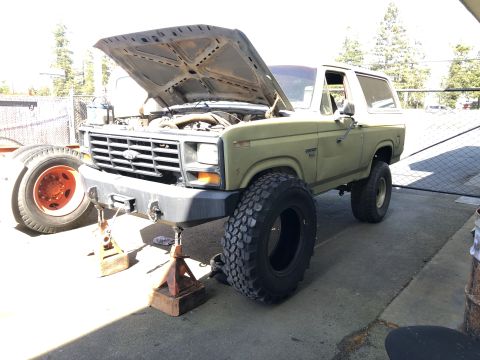 1986 Ford Bronco - This 1986 Ford Bronco is on jack stands with its hood open, revealing the engine bay and large off-road tires.