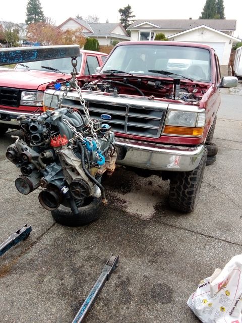 1994 Ford Bronco - Engine removal in progress on a 1994 Ford Bronco, with a second Ford truck visible.