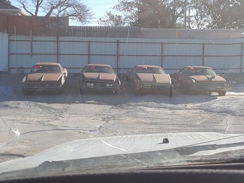 1994 Ford Bronco - Multiple older cars are lined up in a junkyard setting, each displaying a red tag on its windshield.