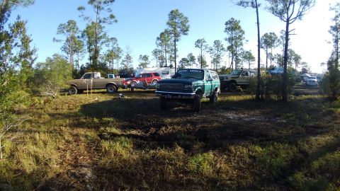 1988 Ford Bronco - Several trucks and SUVs are parked in a muddy clearing surrounded by trees under a clear blue sky.