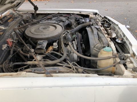 1979 Chrysler Newport photo