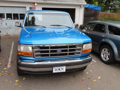 1995 Ford F-150 photo