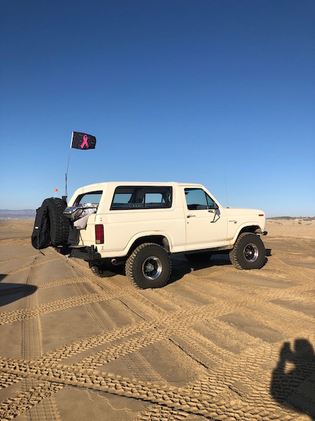 1981 Ford Bronco - White Ford Bronco with spare tire on rear bumper parked on sand dunes under a clear blue sky.