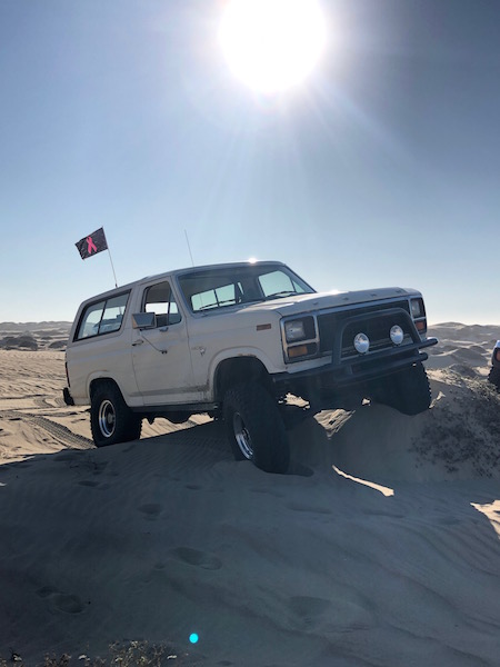 1981 Ford Bronco - White Ford Bronco navigates a sandy incline under a bright sun, displaying a pink ribbon flag.