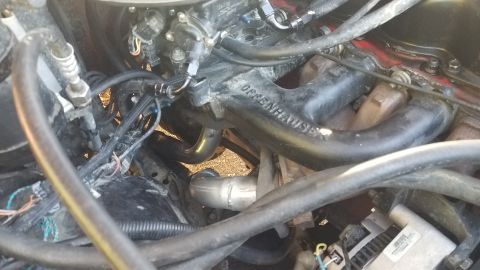 1985 Ford Bronco - Engine bay detail an exhaust manifold and associated components.