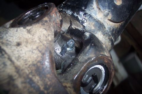 1995 Ford Bronco - Close-up of a greasy driveshaft universal joint, indicating mechanical wear.